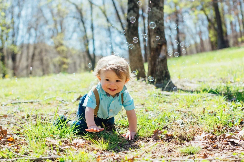 Luke's First Birthday | NRV Family Photography