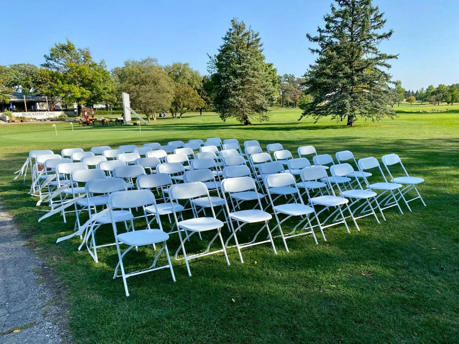 WhatsApp Image 2025-11-12 at 12.42.34 PM.jpeg