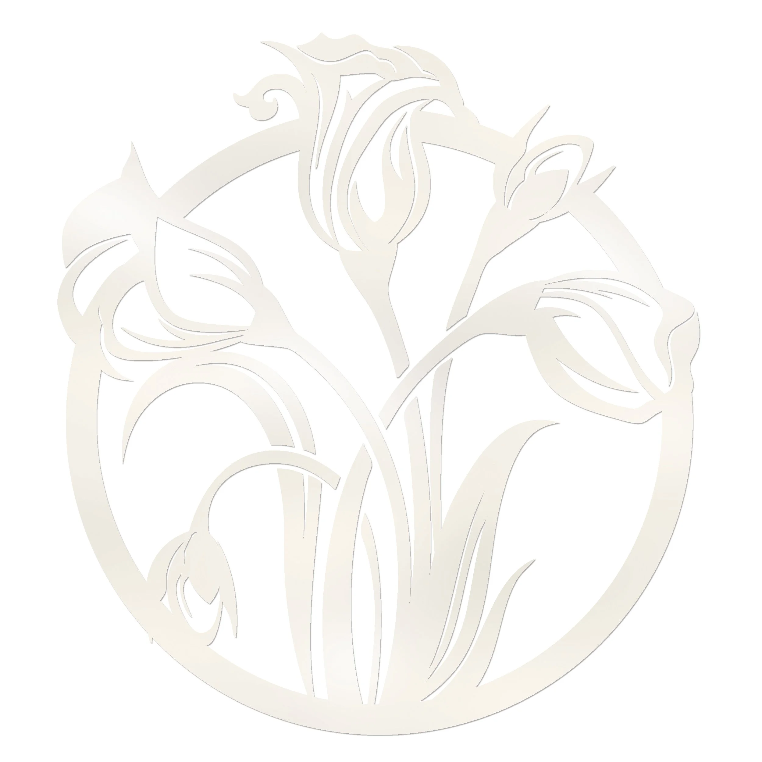 tulip-belle-white.jpg