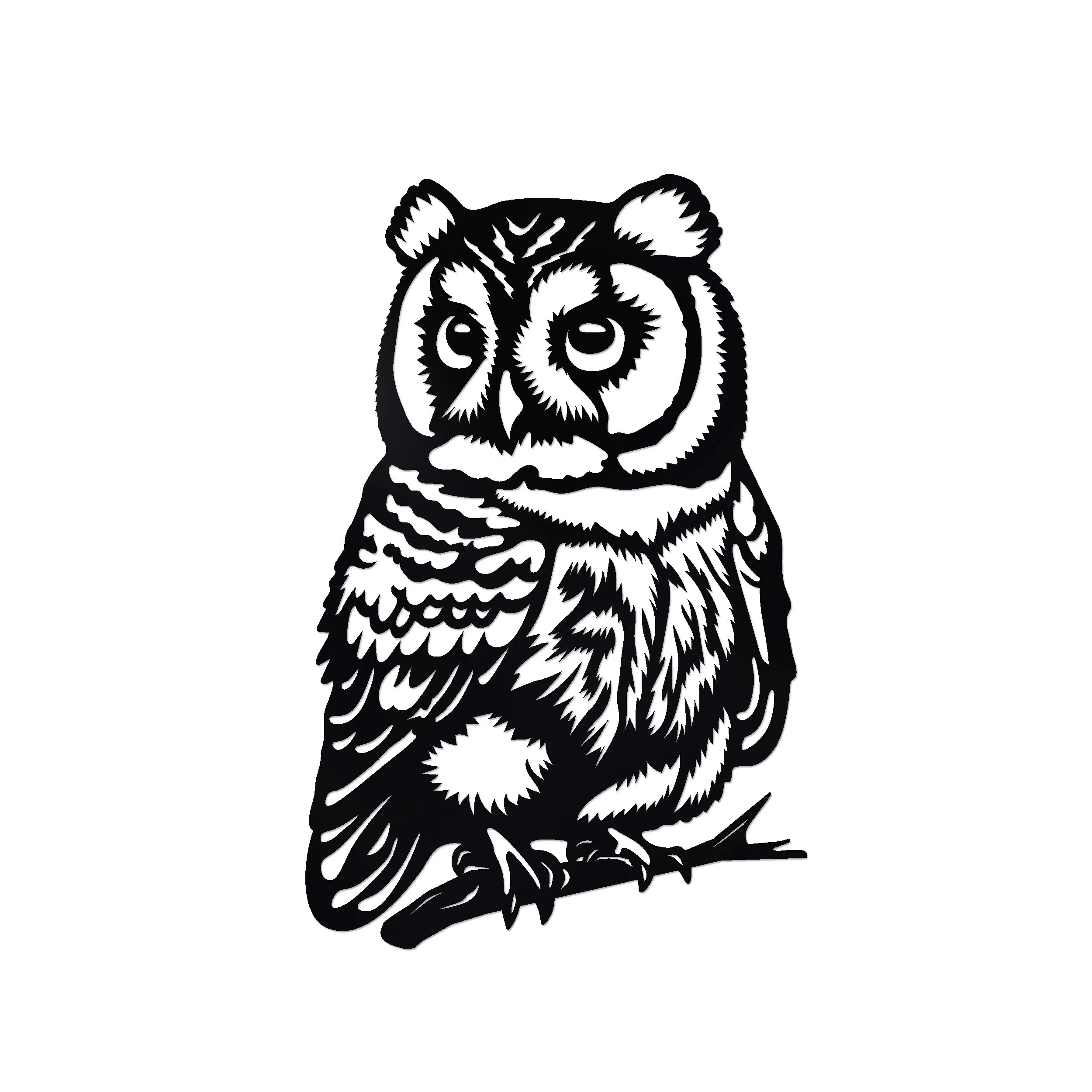 Gus - from the Parliament of Owls