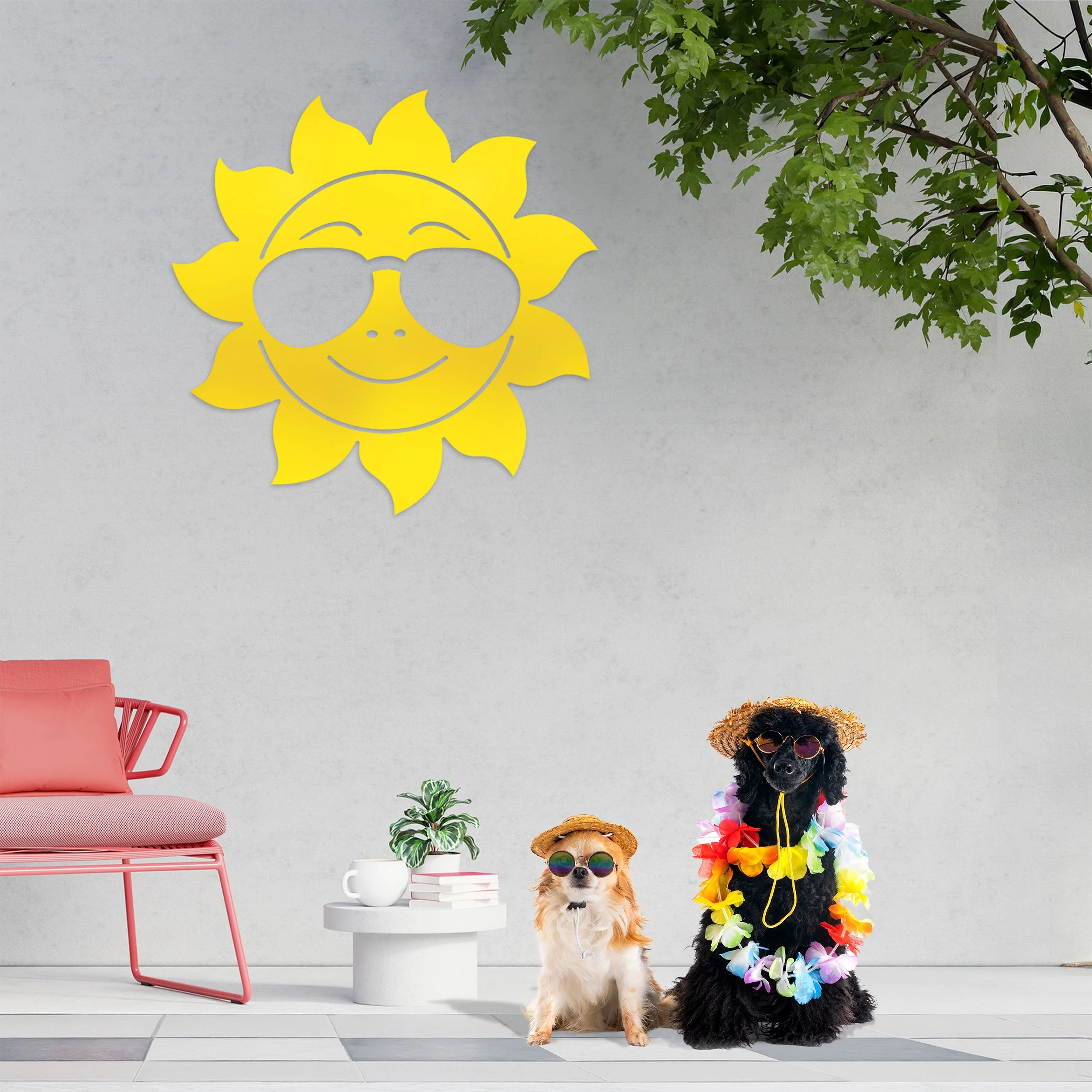 Too Cool Dogs-hero.jpg