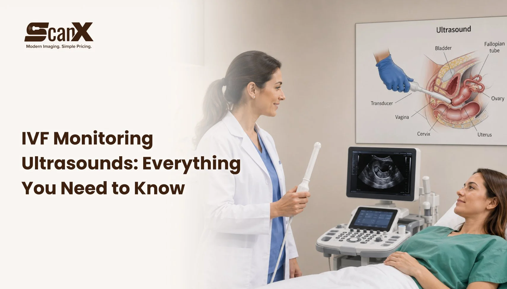 IVF Monitoring Ultrasounds: Everything You Need to Know