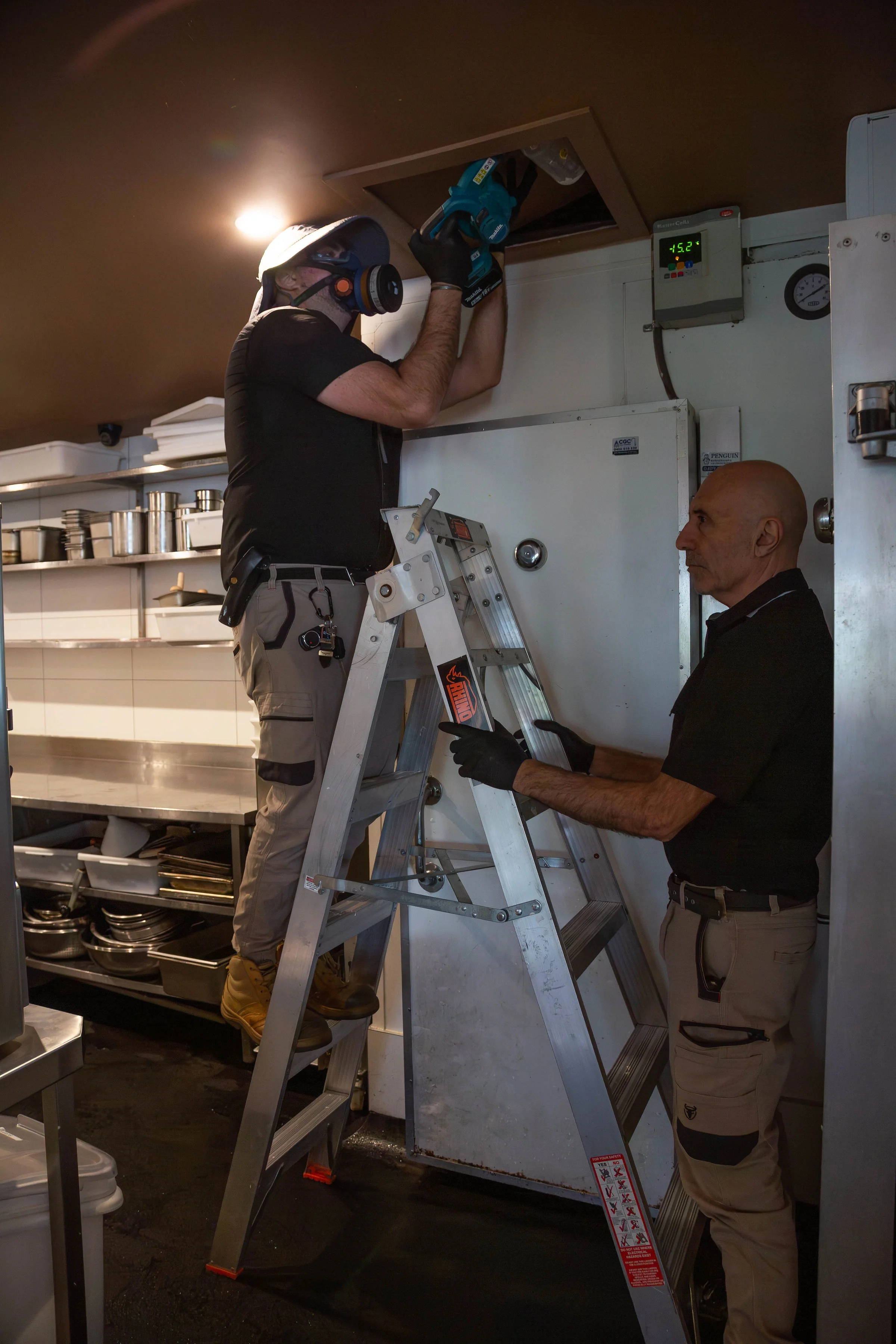 Rodents In Roofs &amp; Walls As The Weather Cools