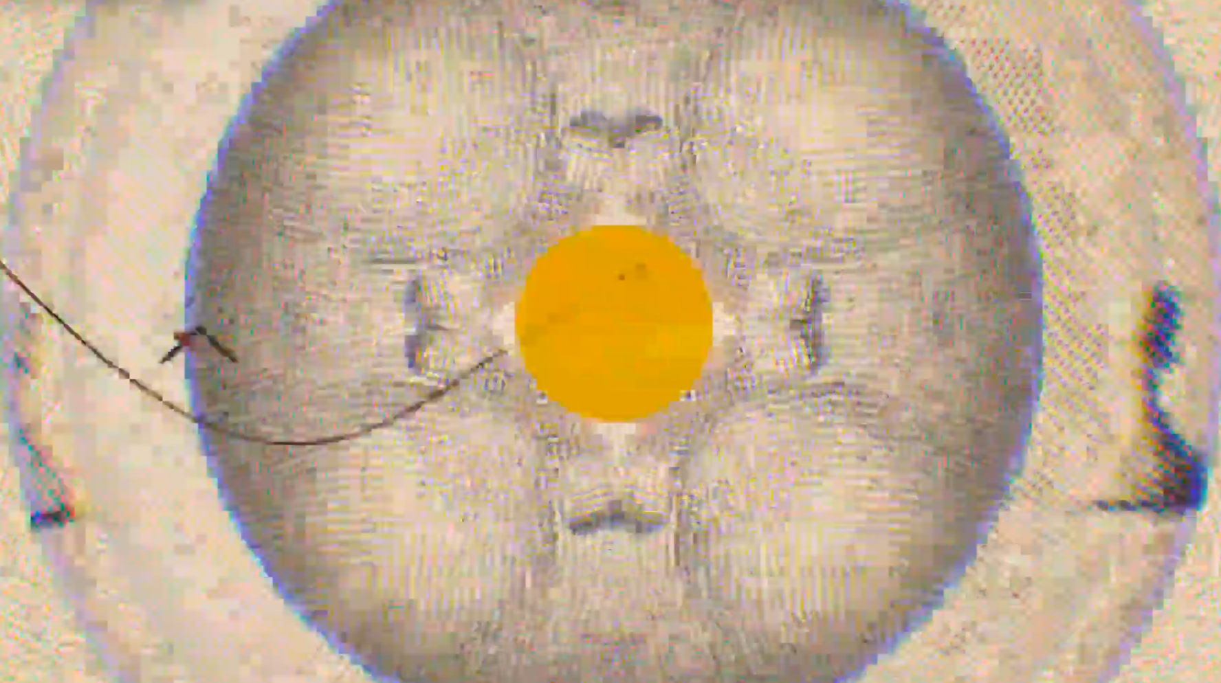 Screenshot+2024-10-24+at+20.21.38.png