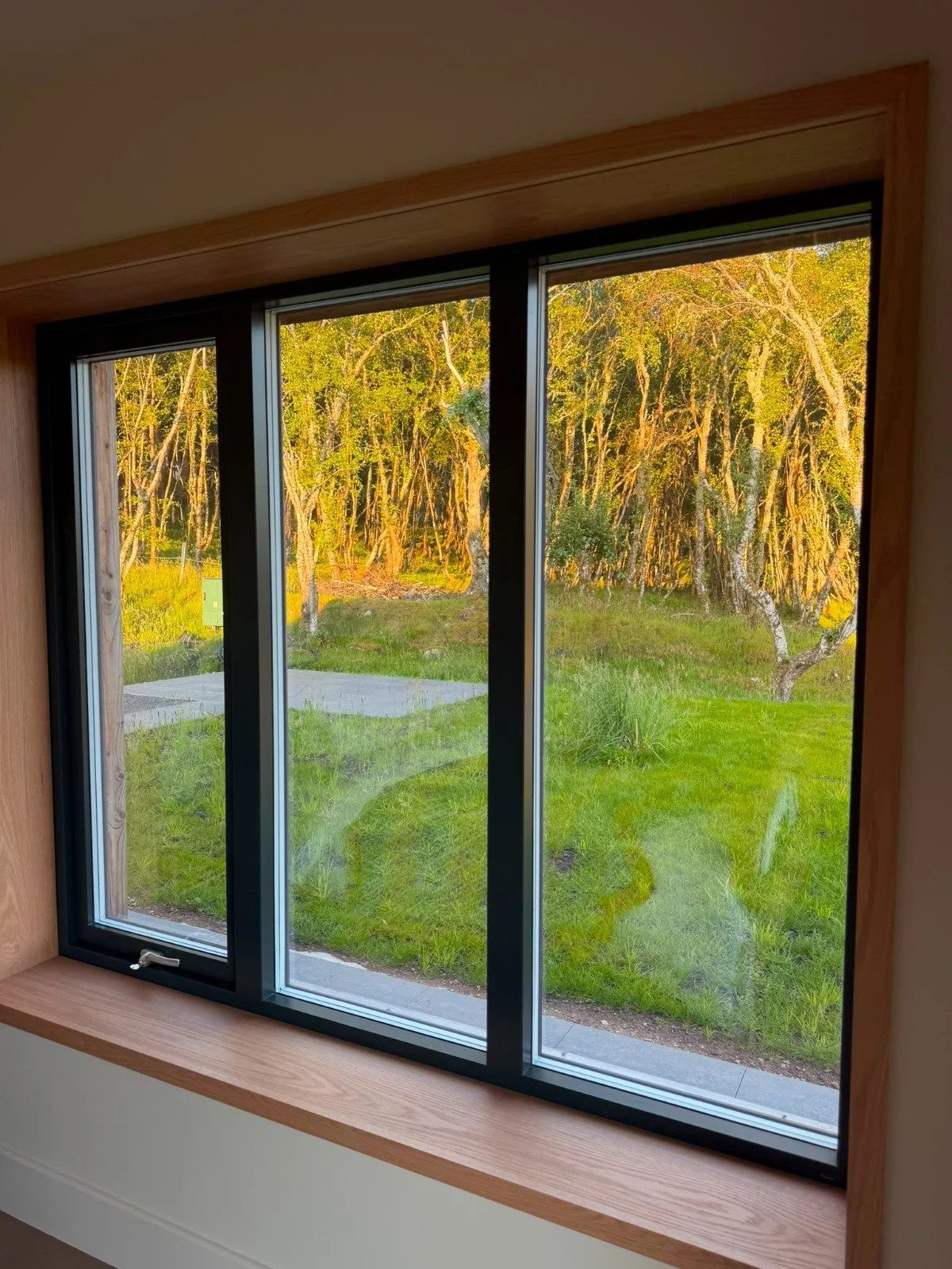 Large Windows