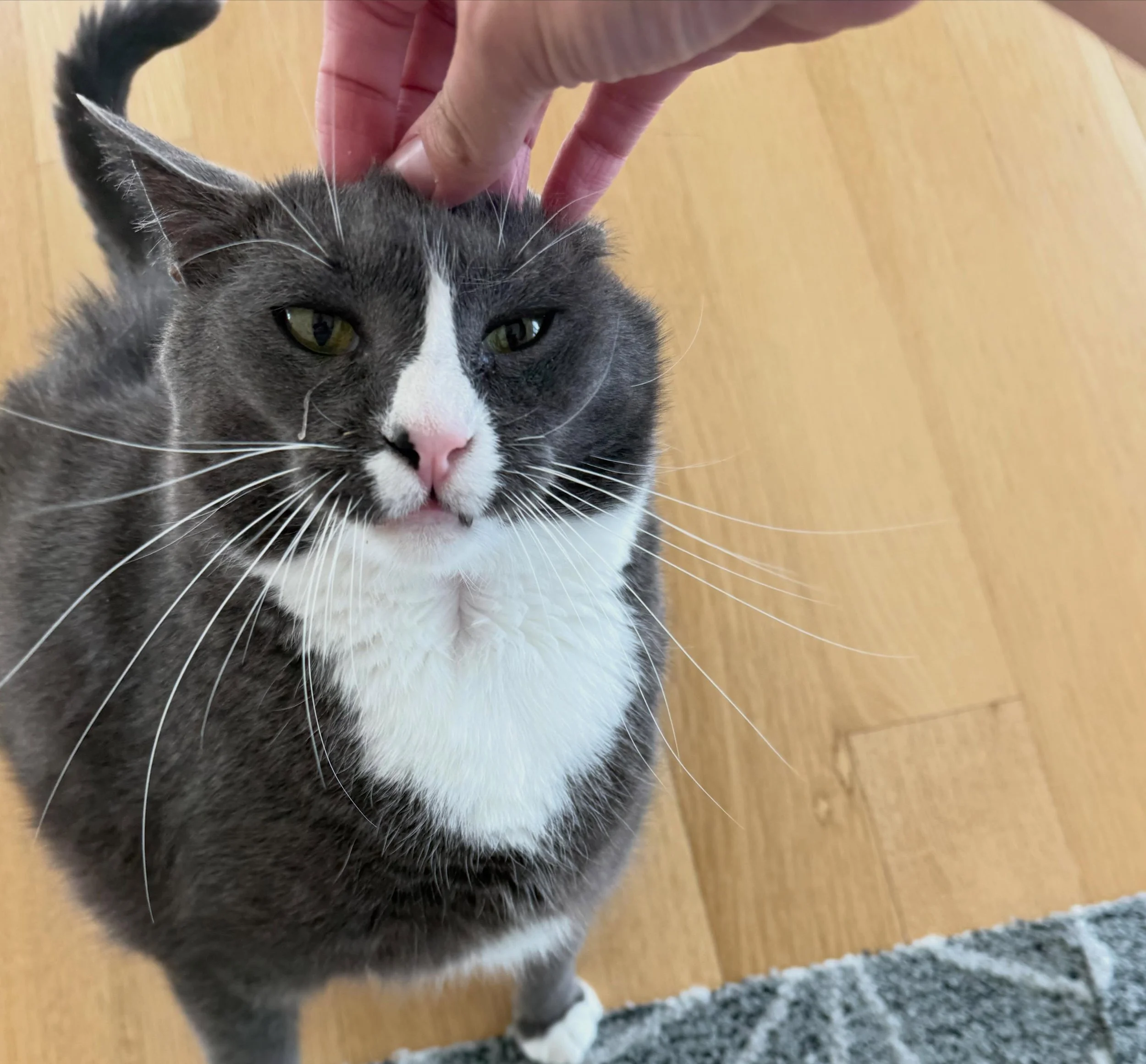 Scratchin time