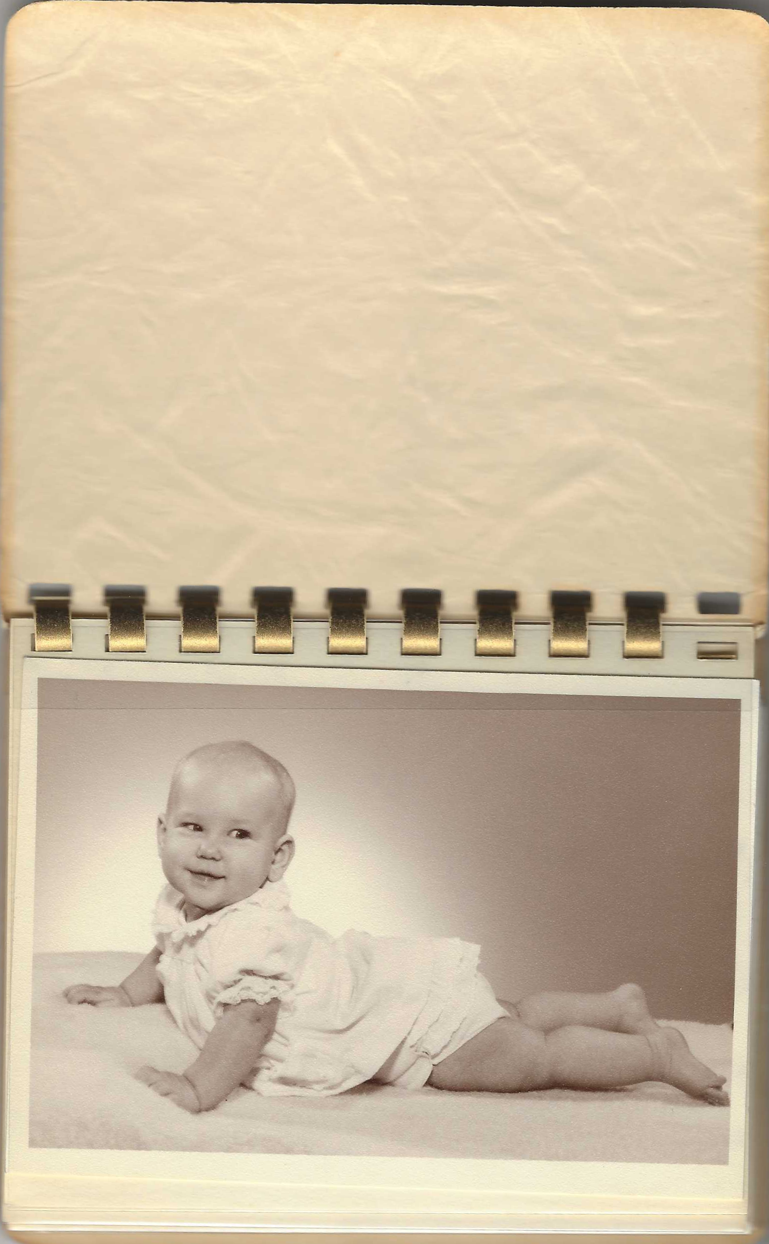 Barbara Baby Photos (6).png