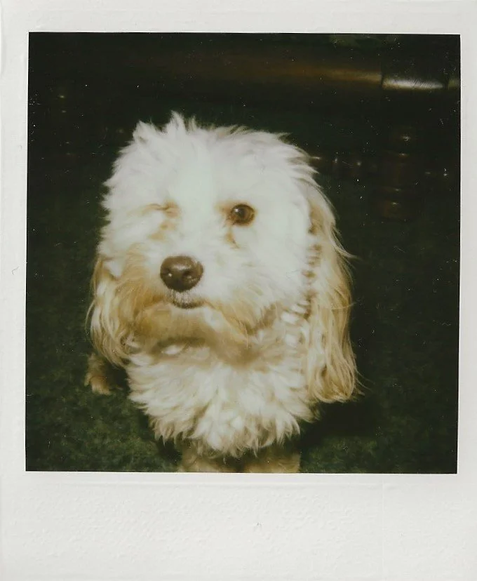 Tuffy