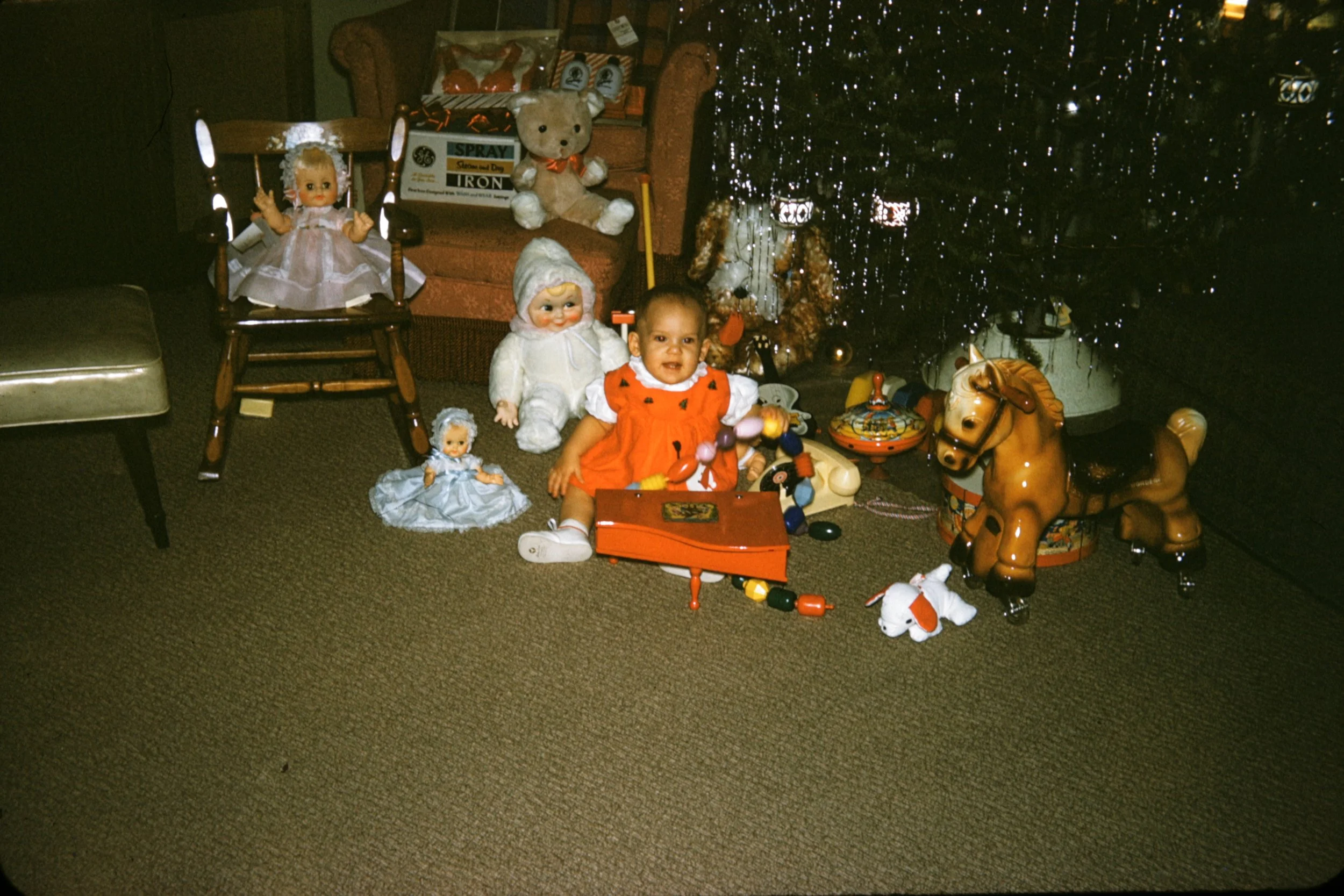 Annie on Christmas.JPG
