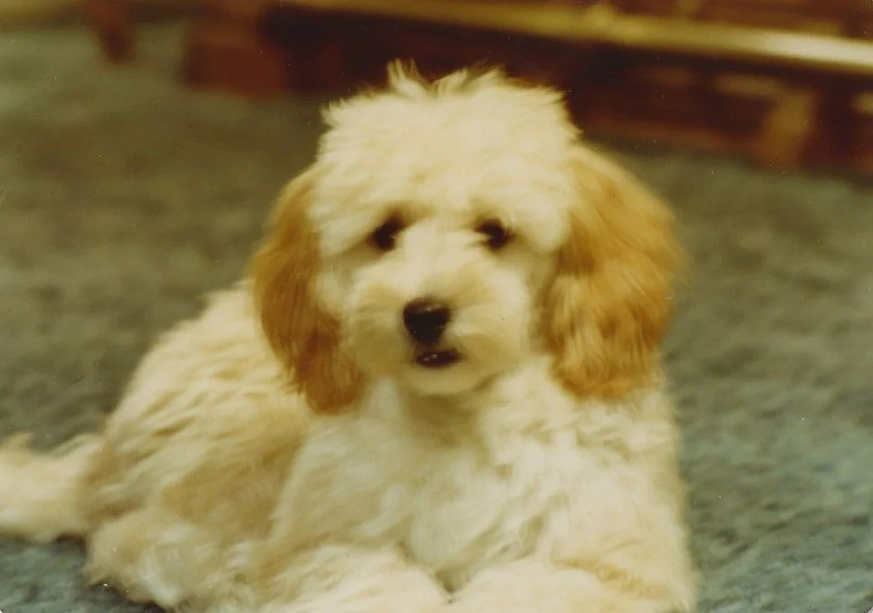 Tuffy