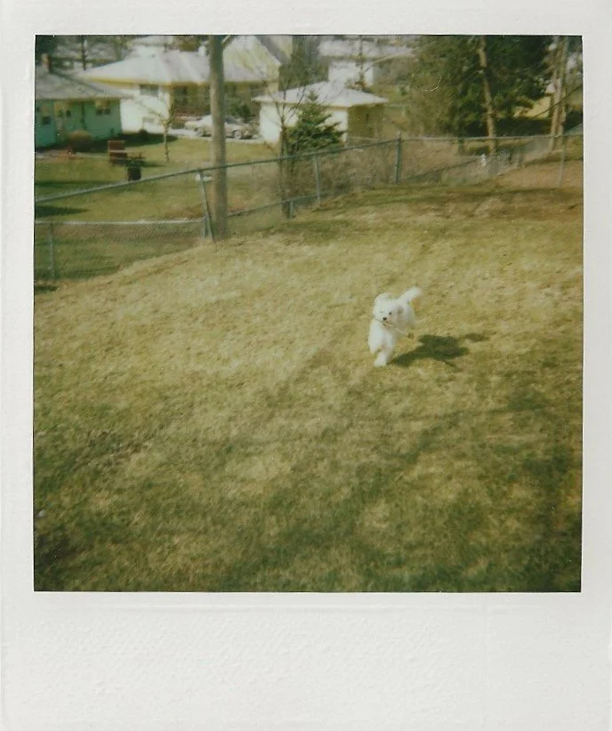 Tuffy