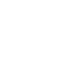 PALADIN