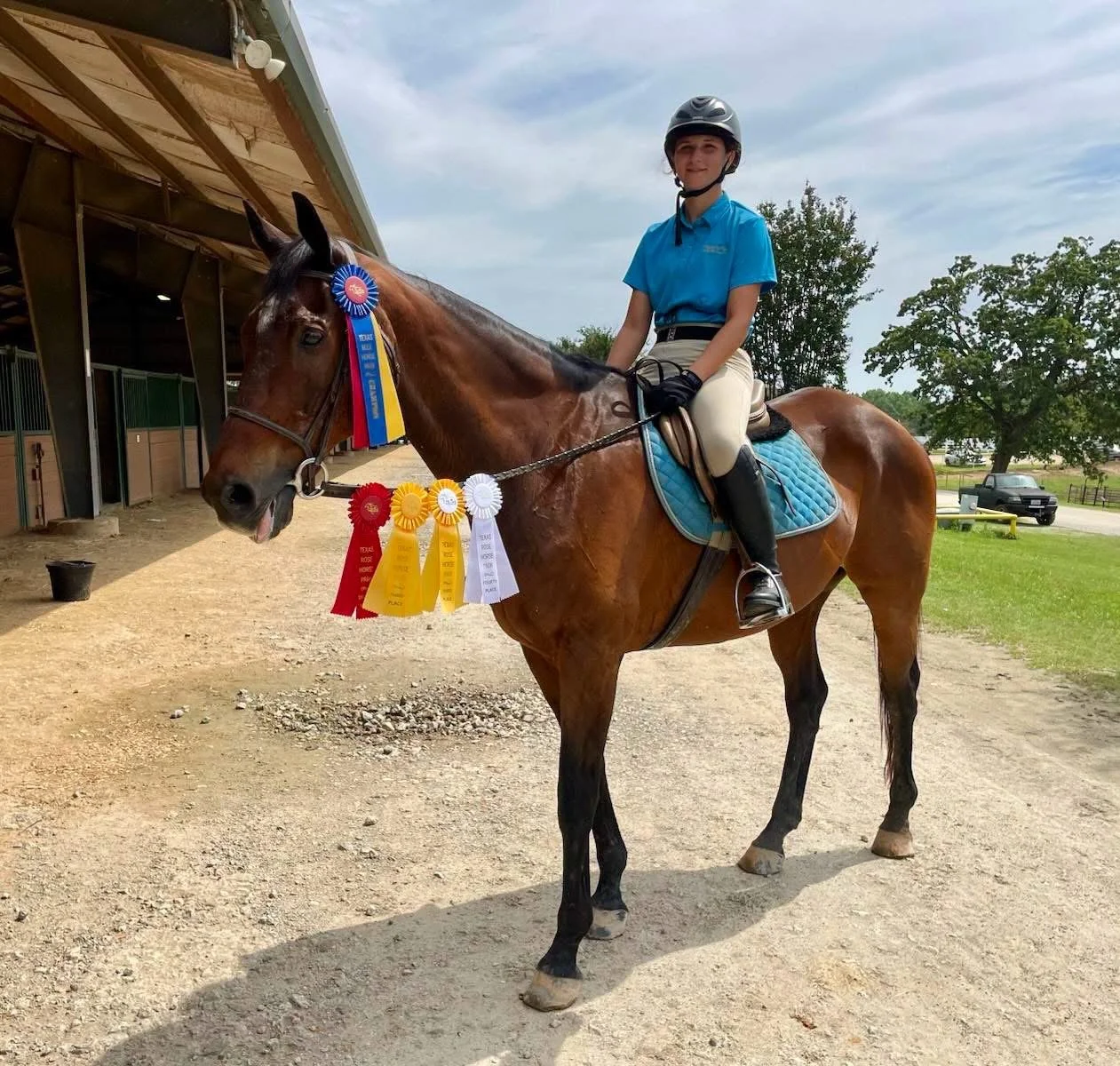 Person riding a horse with multiple award ribbons attached to the horse's bridle, standing outdoors near a stable and grassy area under a partly cloudy sky.