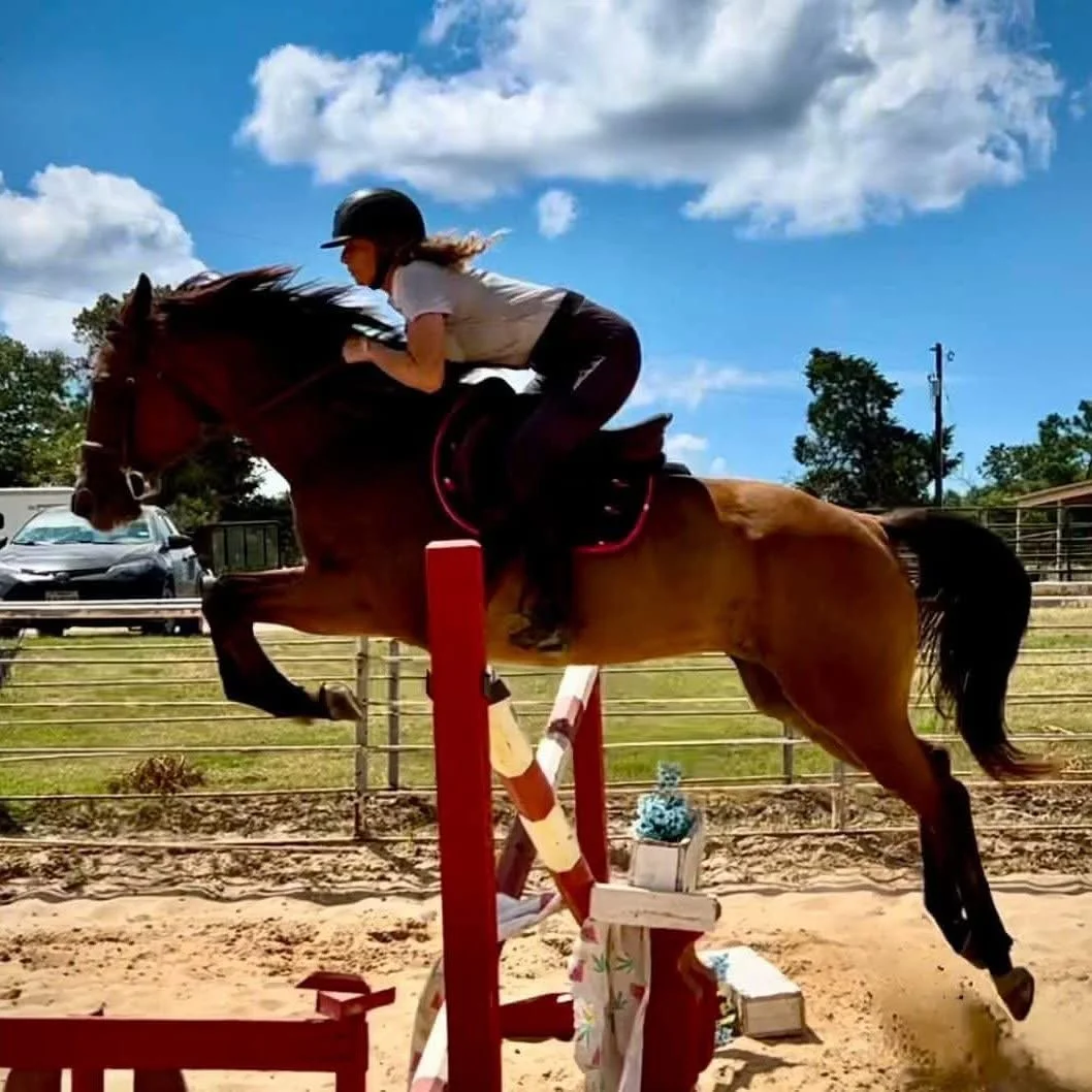 A person wearing a helmet riding a brown horse over a jump during a horseback riding event outdoors on a sunny day.