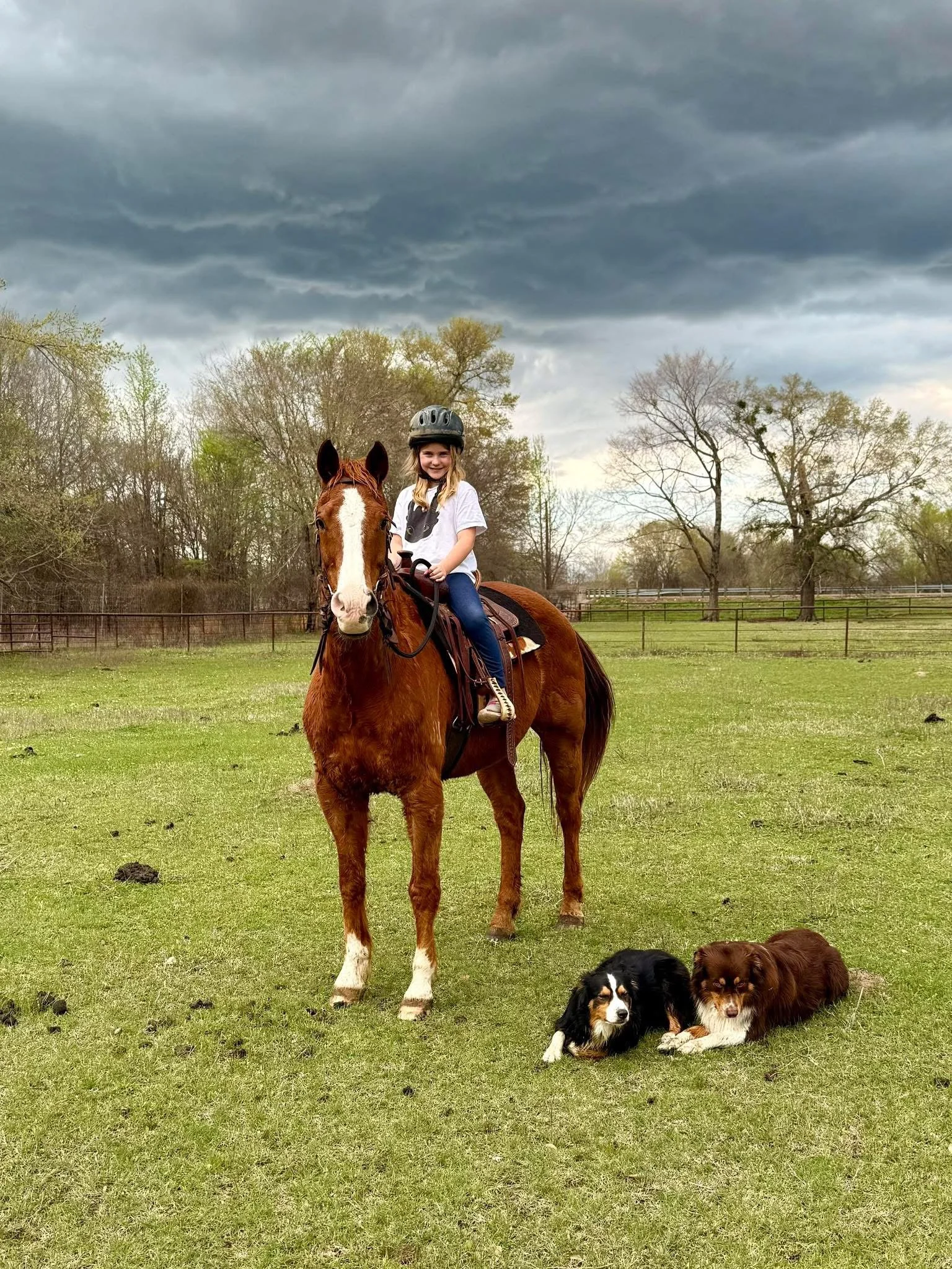 A young girl with a helmet riding a brown horse at a farm. Two dogs are sitting on the grass in front of the horse, with trees and a cloudy sky in the background.