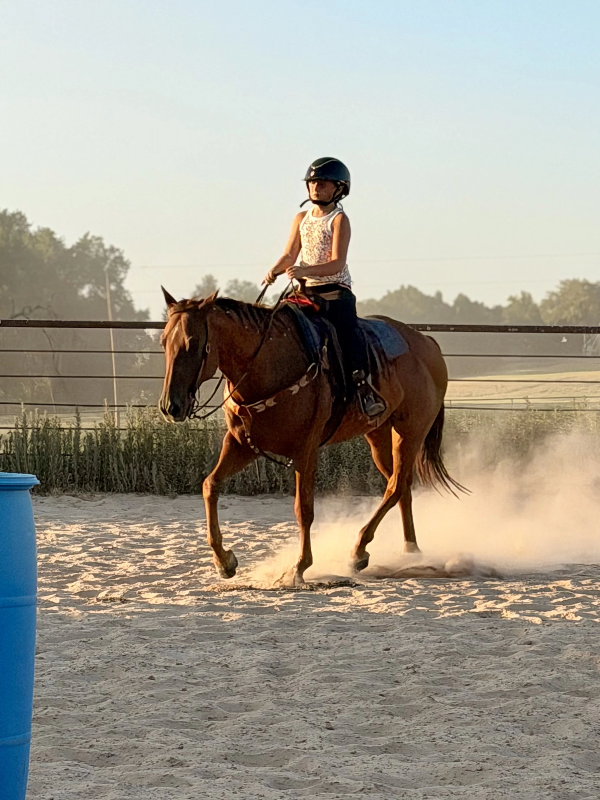 A young girl riding a brown horse in an outdoor riding arena during sunset, with dust rising from the horse's hooves and a clear, blue sky above.