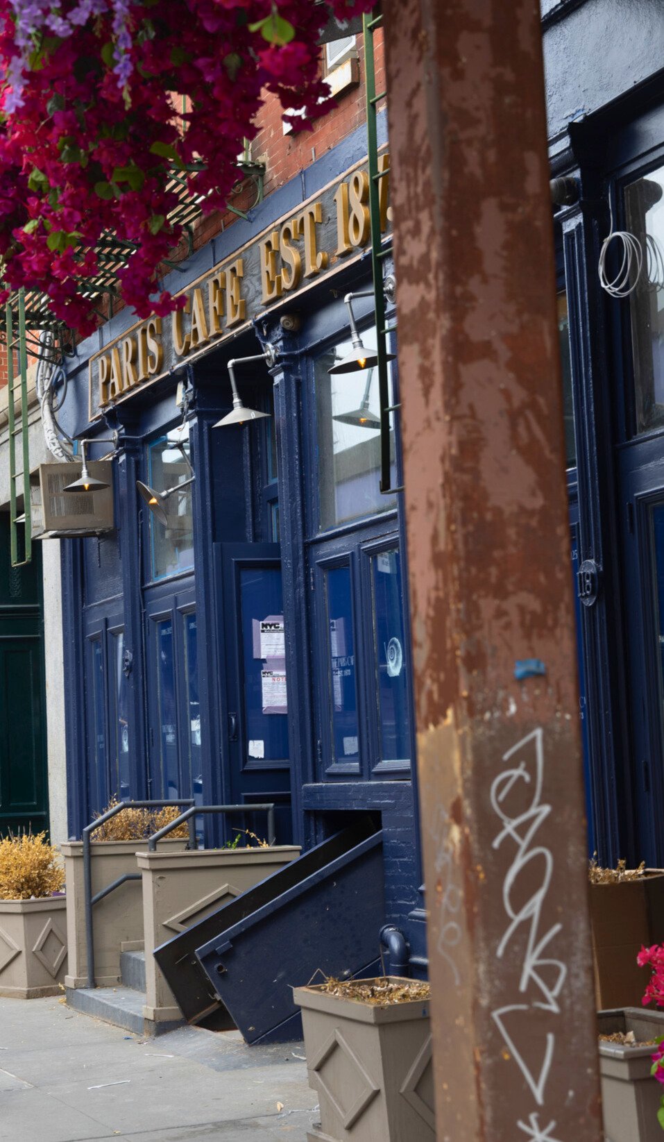  THE INFATUATION 
 The Paris Café 