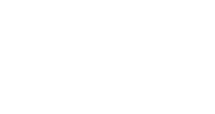 Broom icon
