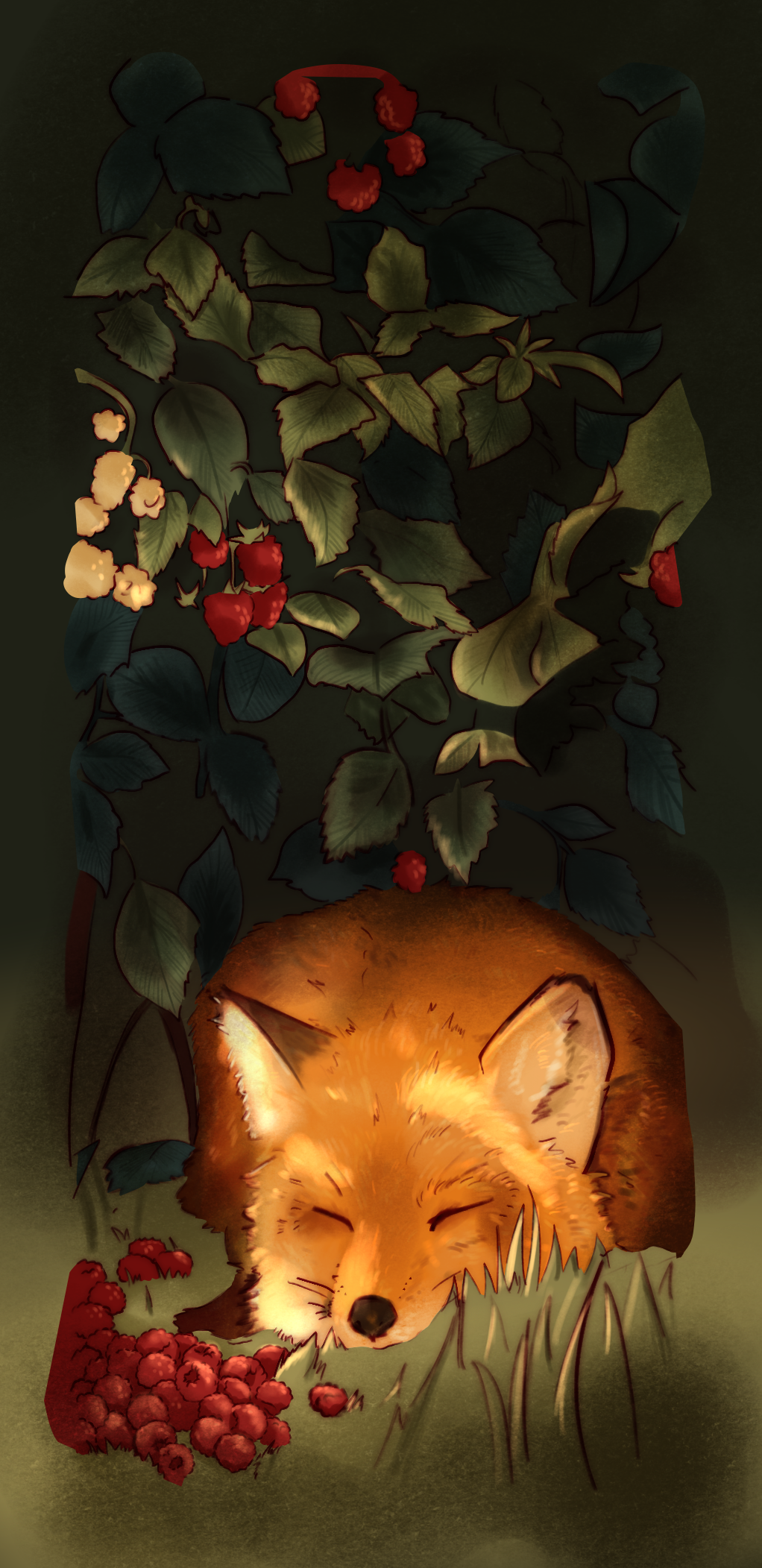 highlights_Fox_Illustration.png