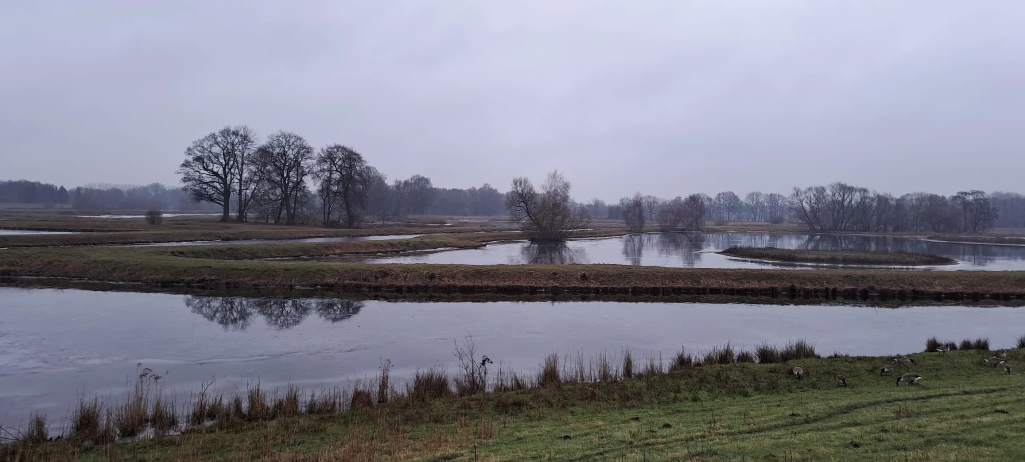 20240121_wanderung_steinhorster_becken1.jpeg