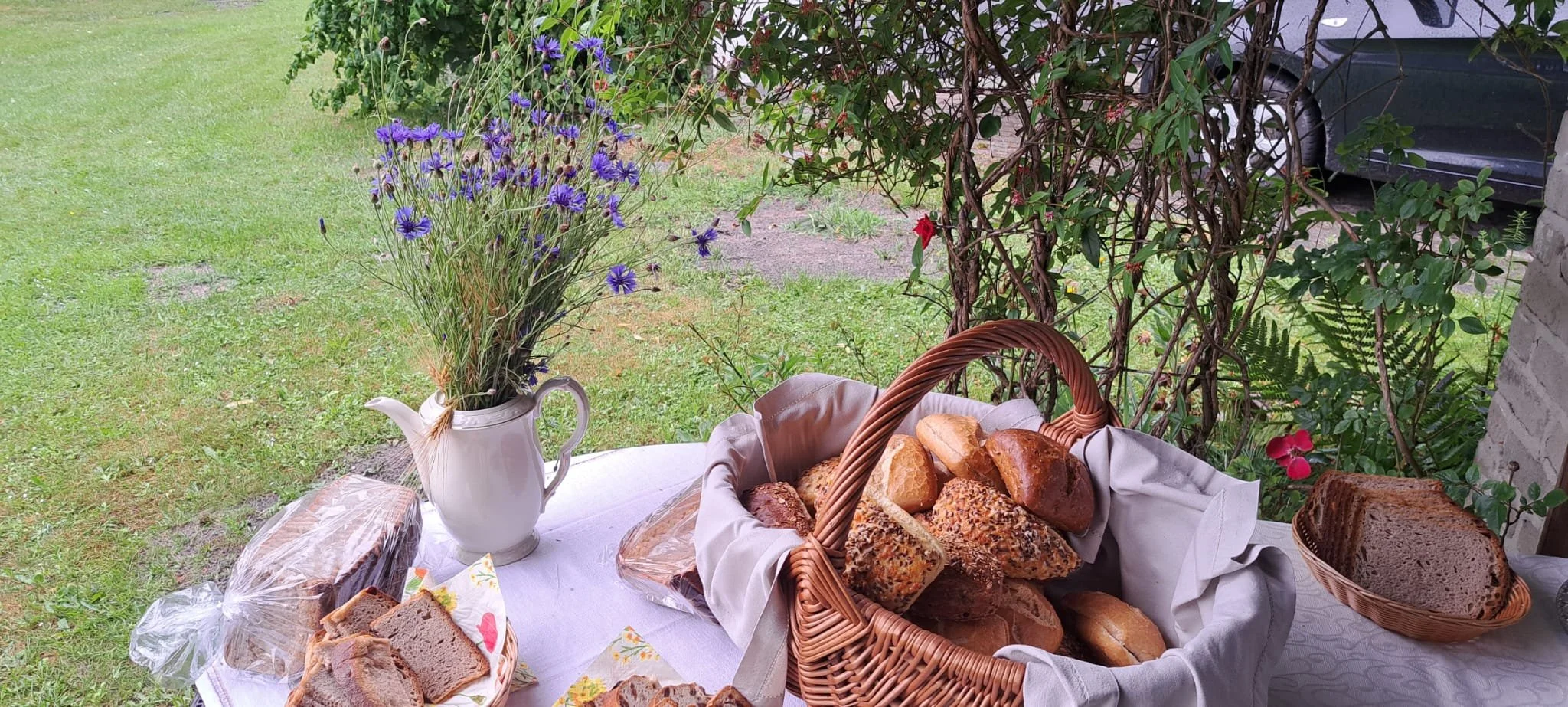 Frühwanderung