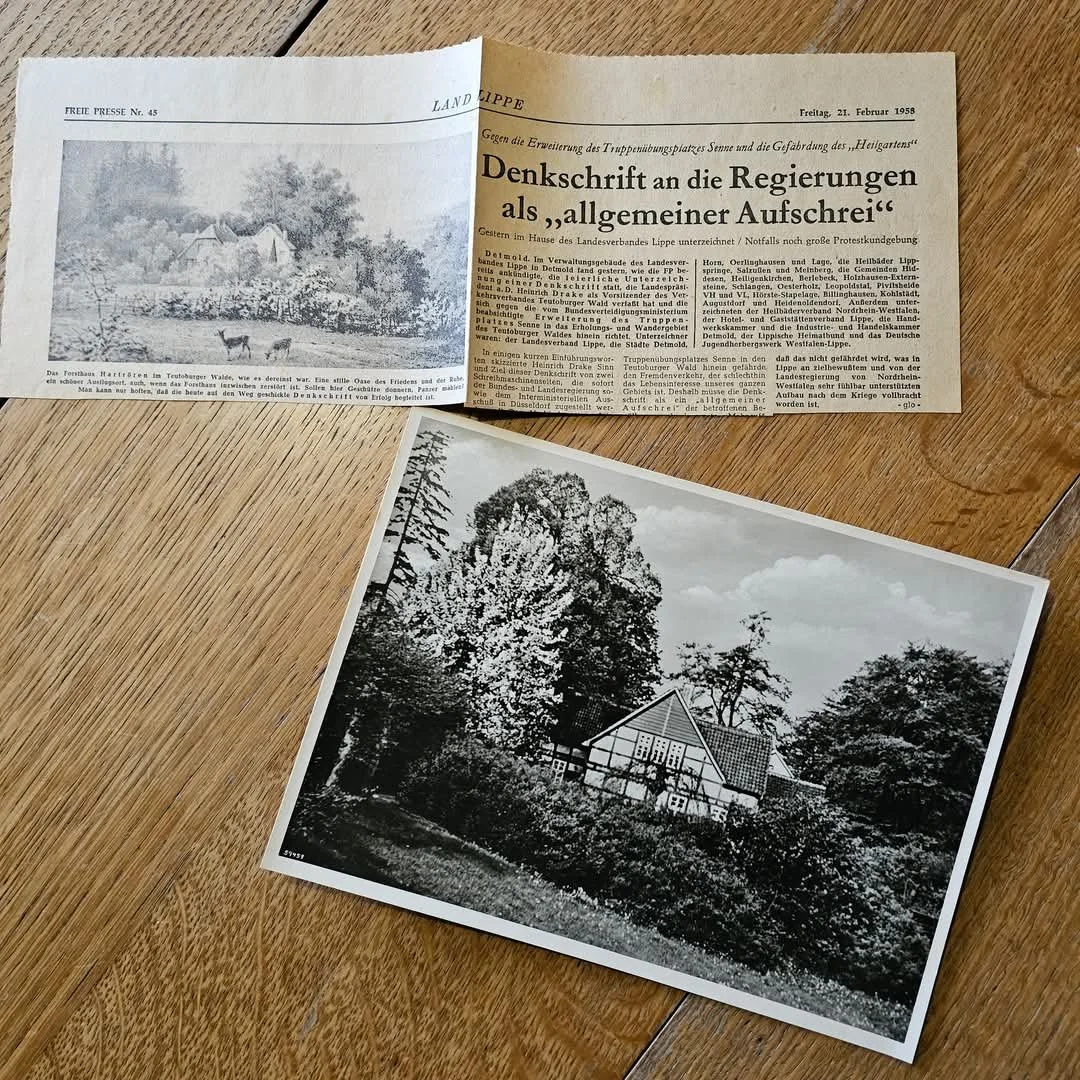 Schwarz-Weiß-Fotografie eines Hauses inmitten von Bäumen vor Himmel mit Wolken, aufgenommen an einem Tag mit bewölktem Himmel.