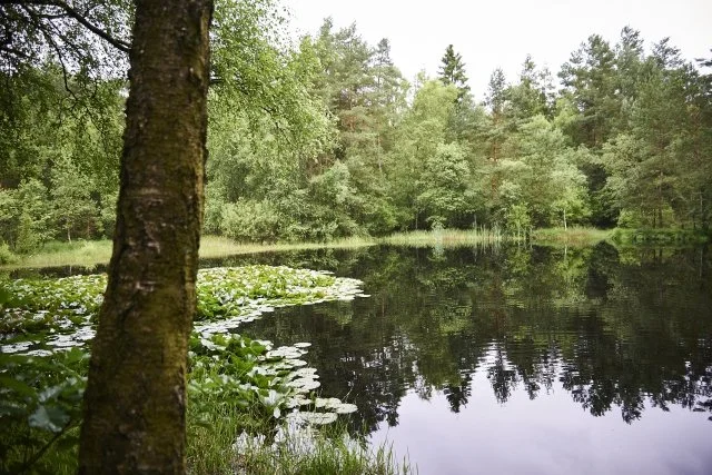 Frühwanderung durch Augustdorfs Westen