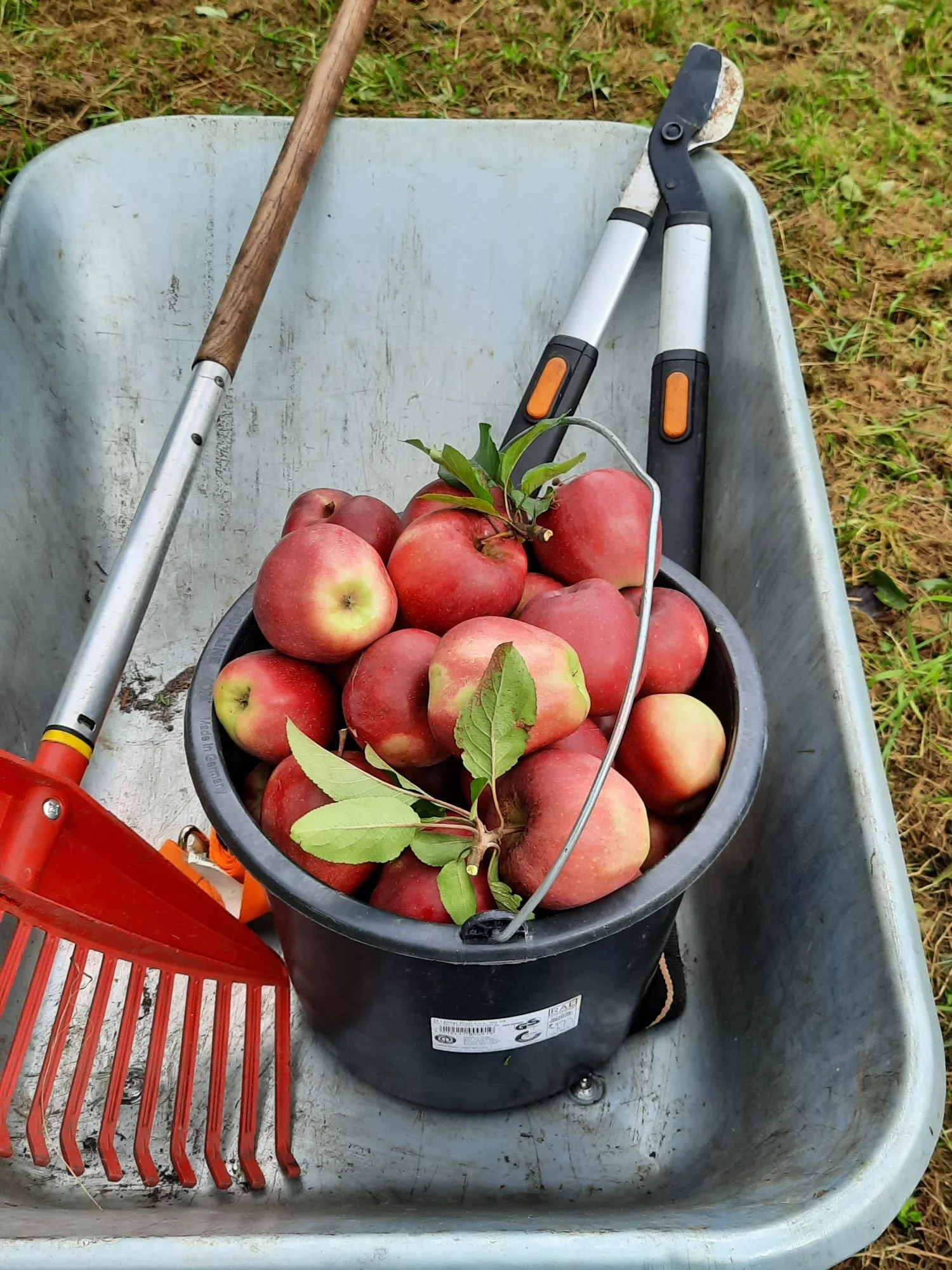 Streuobstwiese am Senneweg nachhaltig gepflegt
