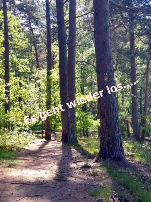Es geht wieder los….