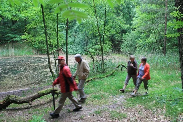 Frühwanderung 2013