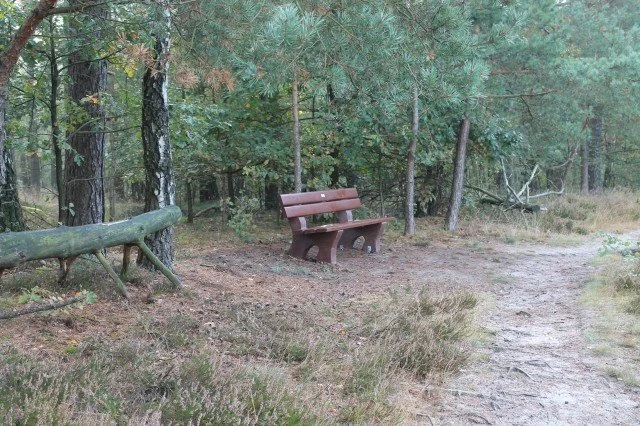 Weitere Ruhebänke