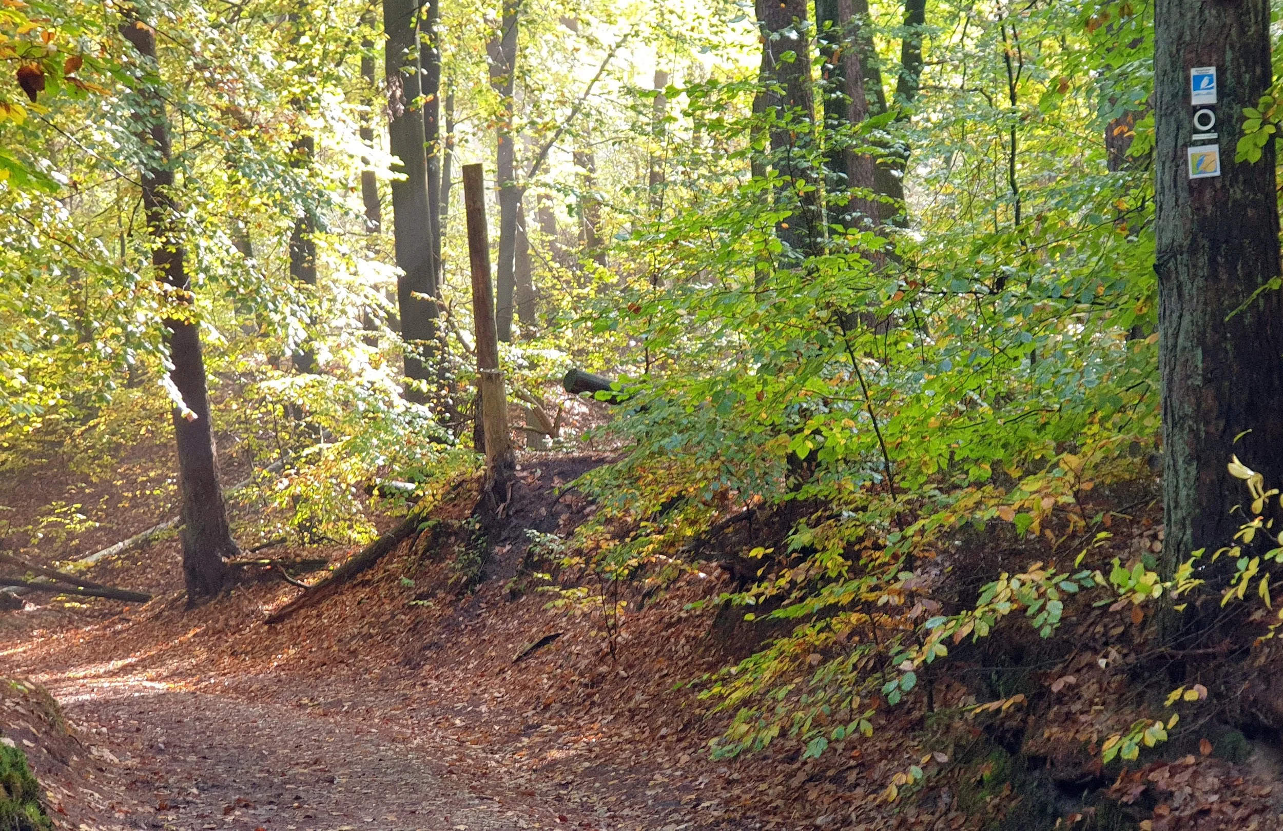 Oberes Furlbachtal.jpg