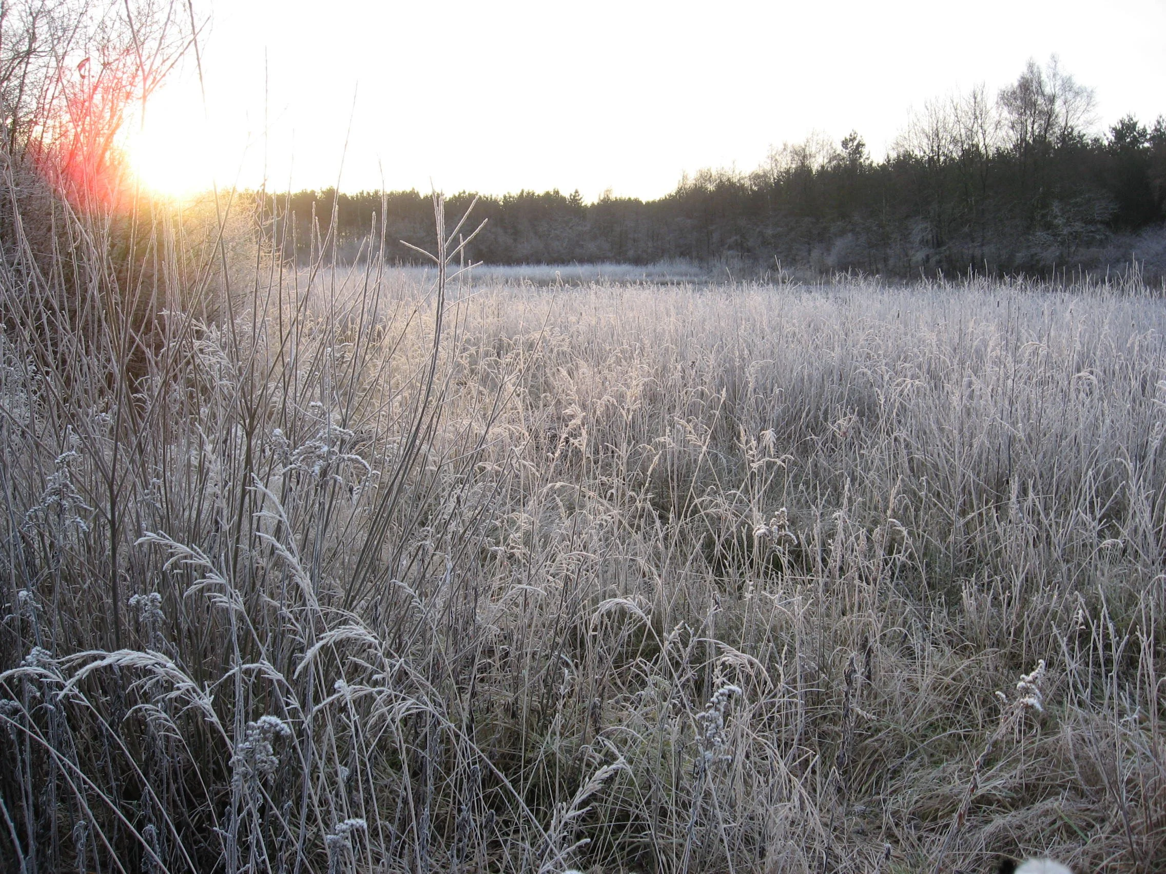 Alles Winterfest machen