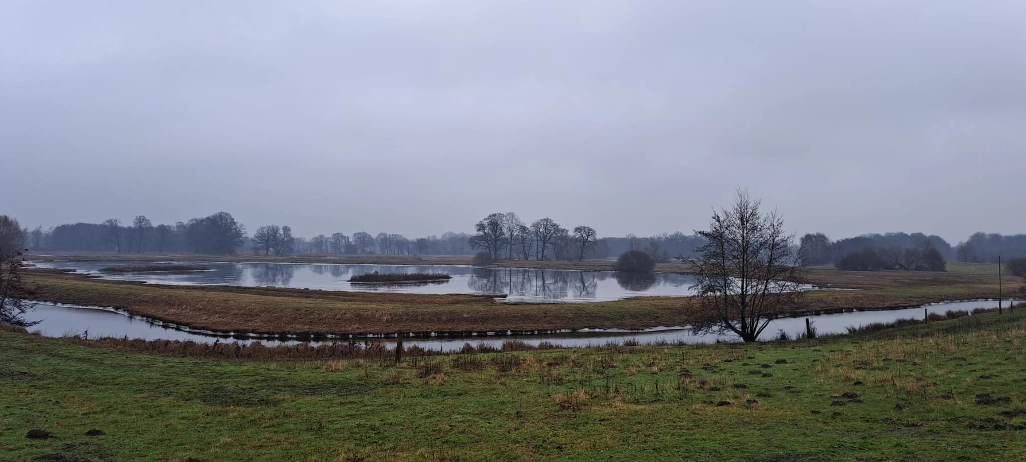20240121_wanderung_steinhorster_becken13.jpeg