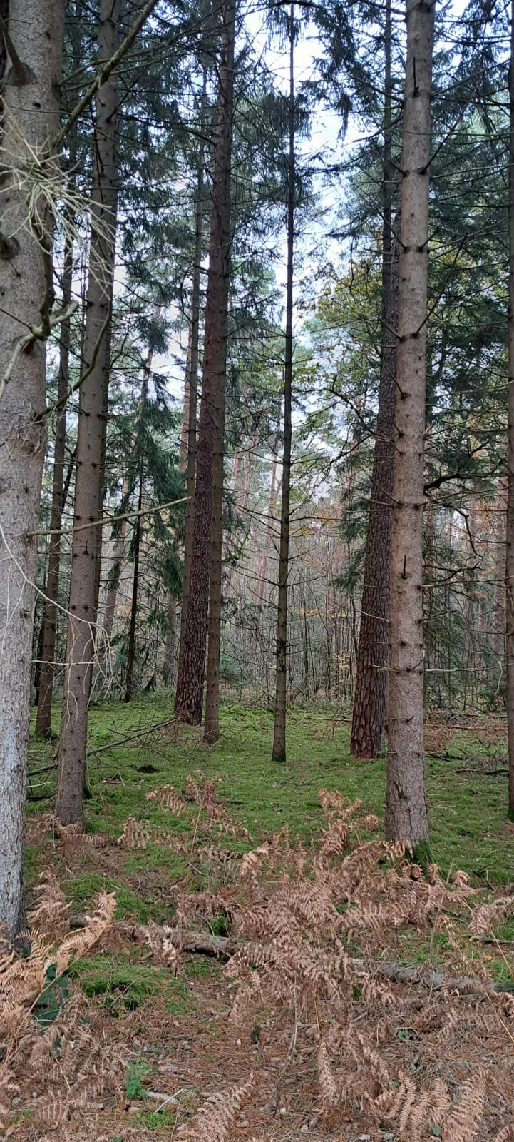 20241109_wanderung_fischteiche_3.jpeg