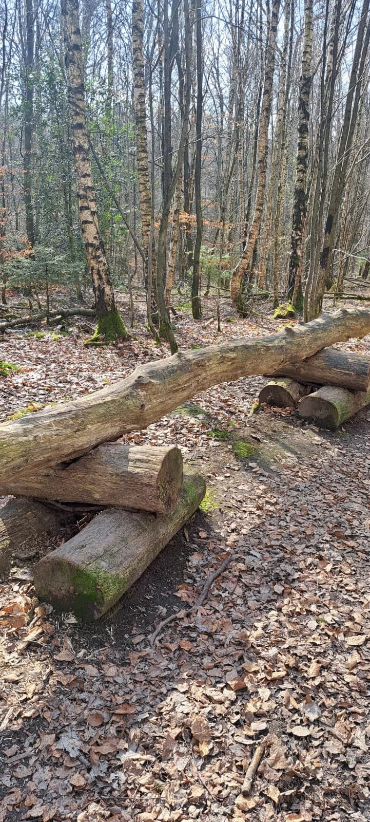 20240309_Wanderung_Leistruper_wald_3.jpeg