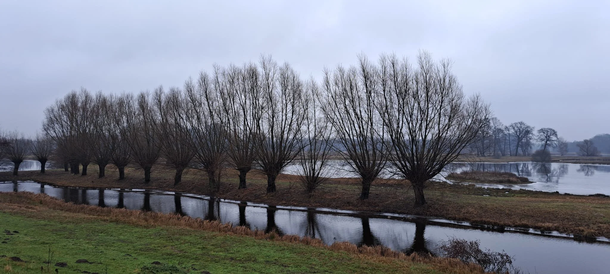 20240121_wanderung_steinhorster_becken12.jpeg