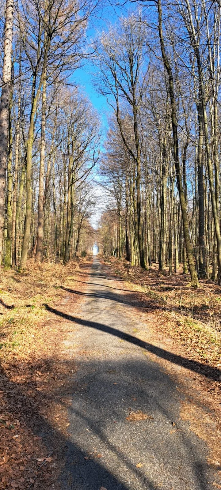 20240309_Wanderung_Leistruper_wald_9.jpeg