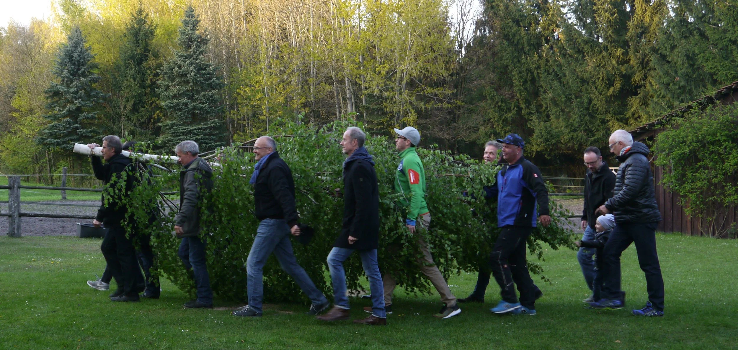 Eine Gruppe von Menschen geht in einer Reihe über einen grünen Rasen, einer trägt einen Baum auf den Schultern. Im Hintergrund sind Bäume und ein Holzzaun sichtbar.