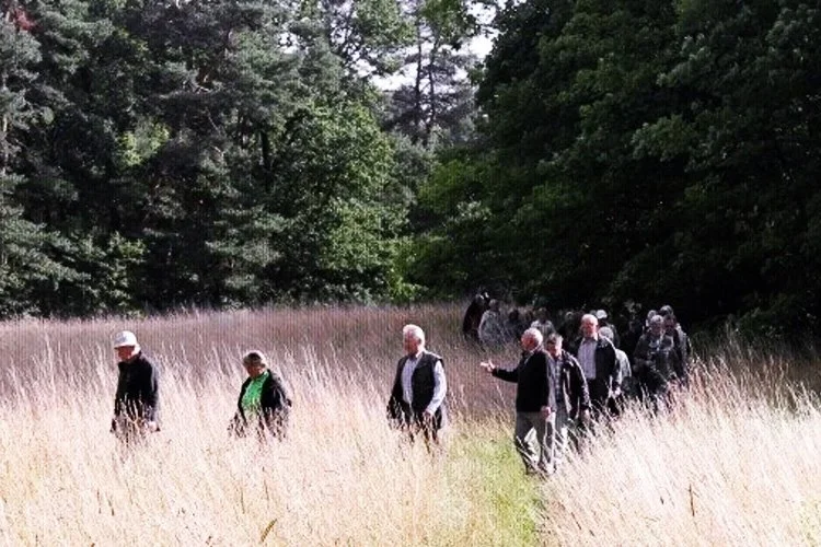 Eine Gruppe älterer Menschen wandert auf einem grasbewachsenen Pfad durch einen ruhigen Wald im Freien.