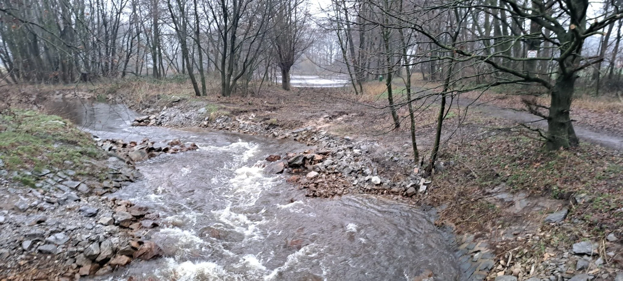 20240121_wanderung_steinhorster_becken3.jpeg