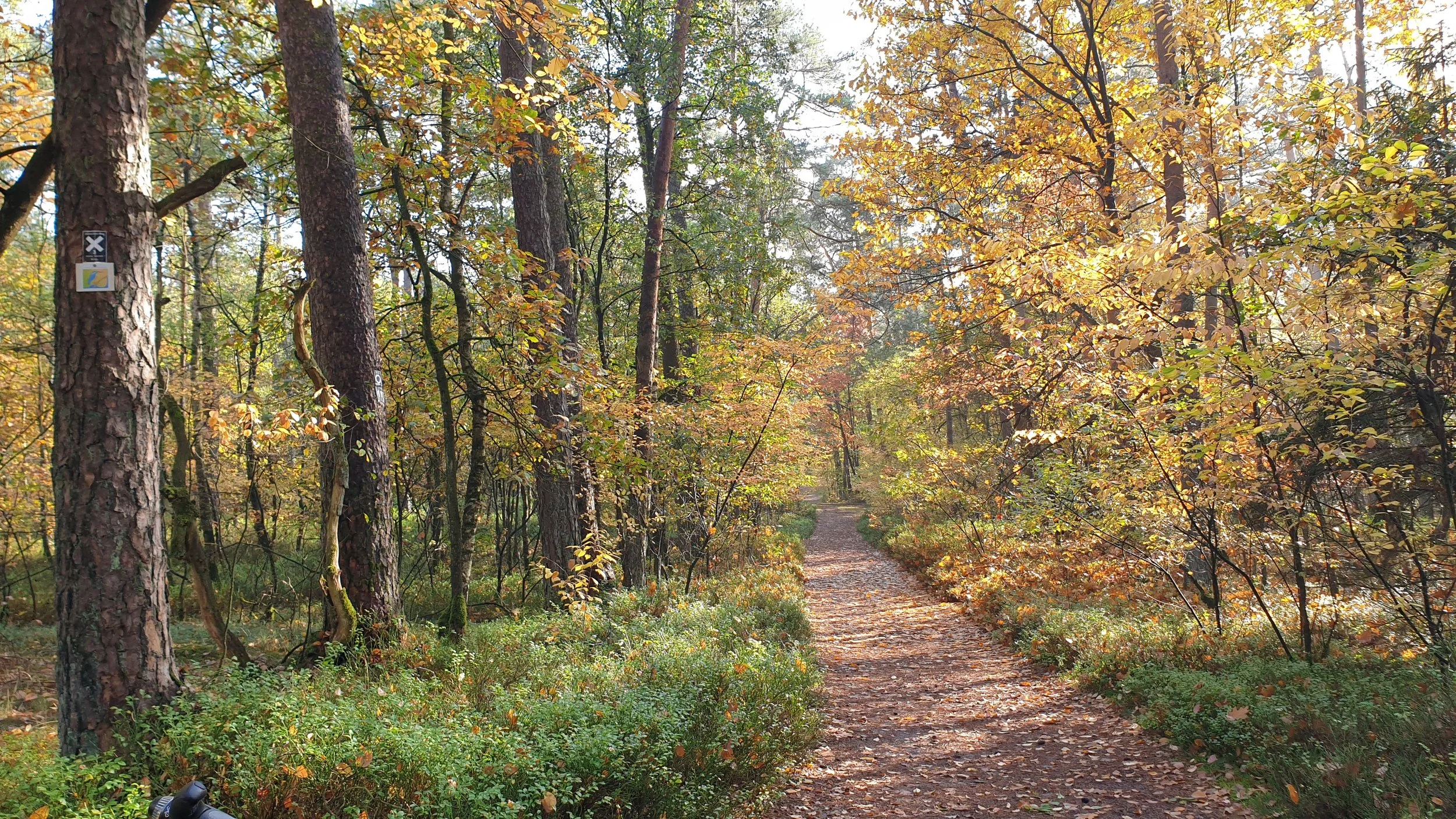 Oberes Furlbachtal (20).jpg
