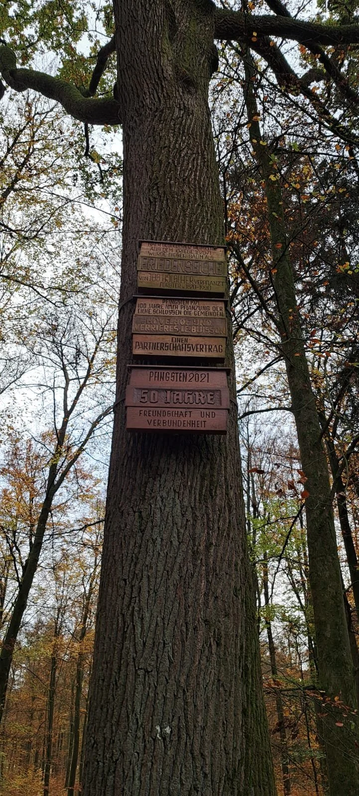20241109_wanderung_fischteiche_2.jpeg