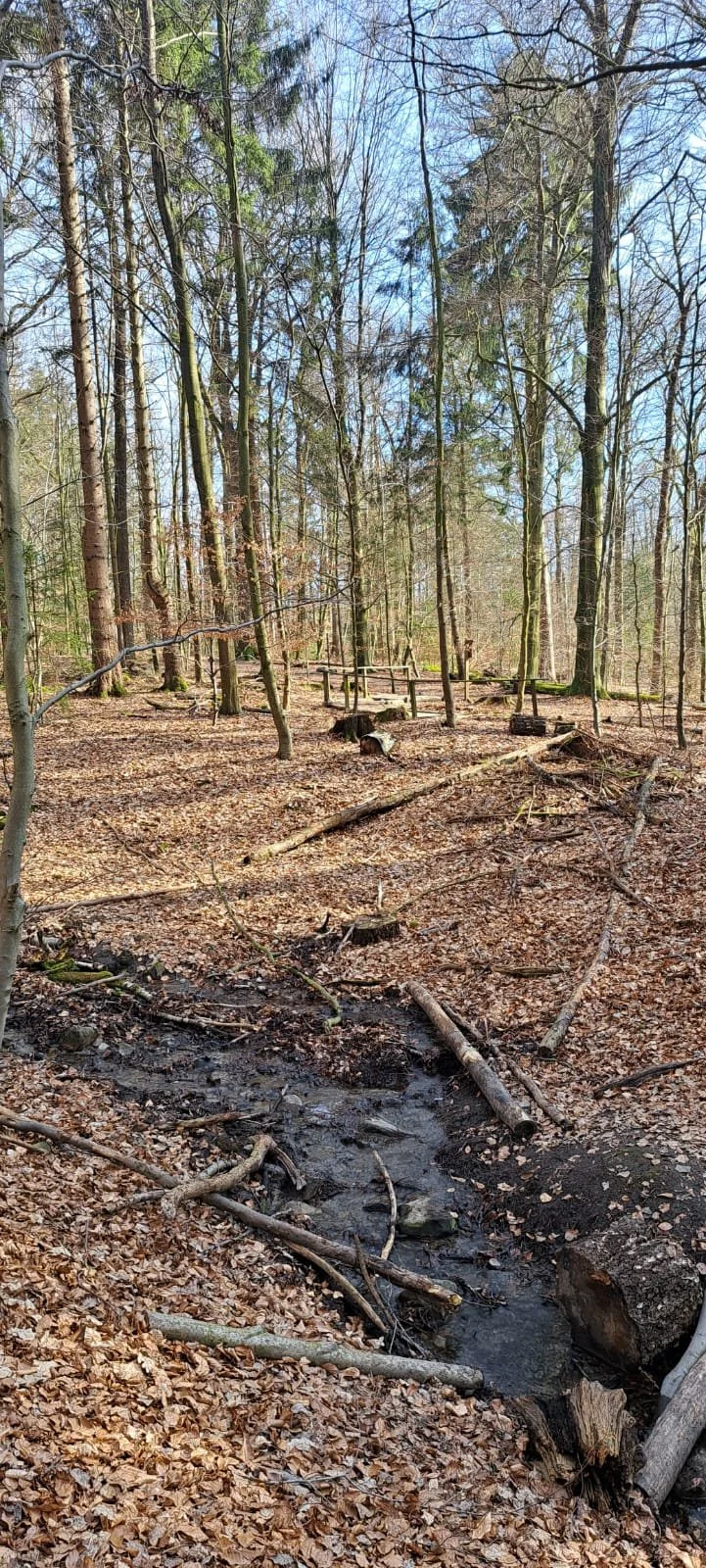 20240309_Wanderung_Leistruper_wald_7.jpeg