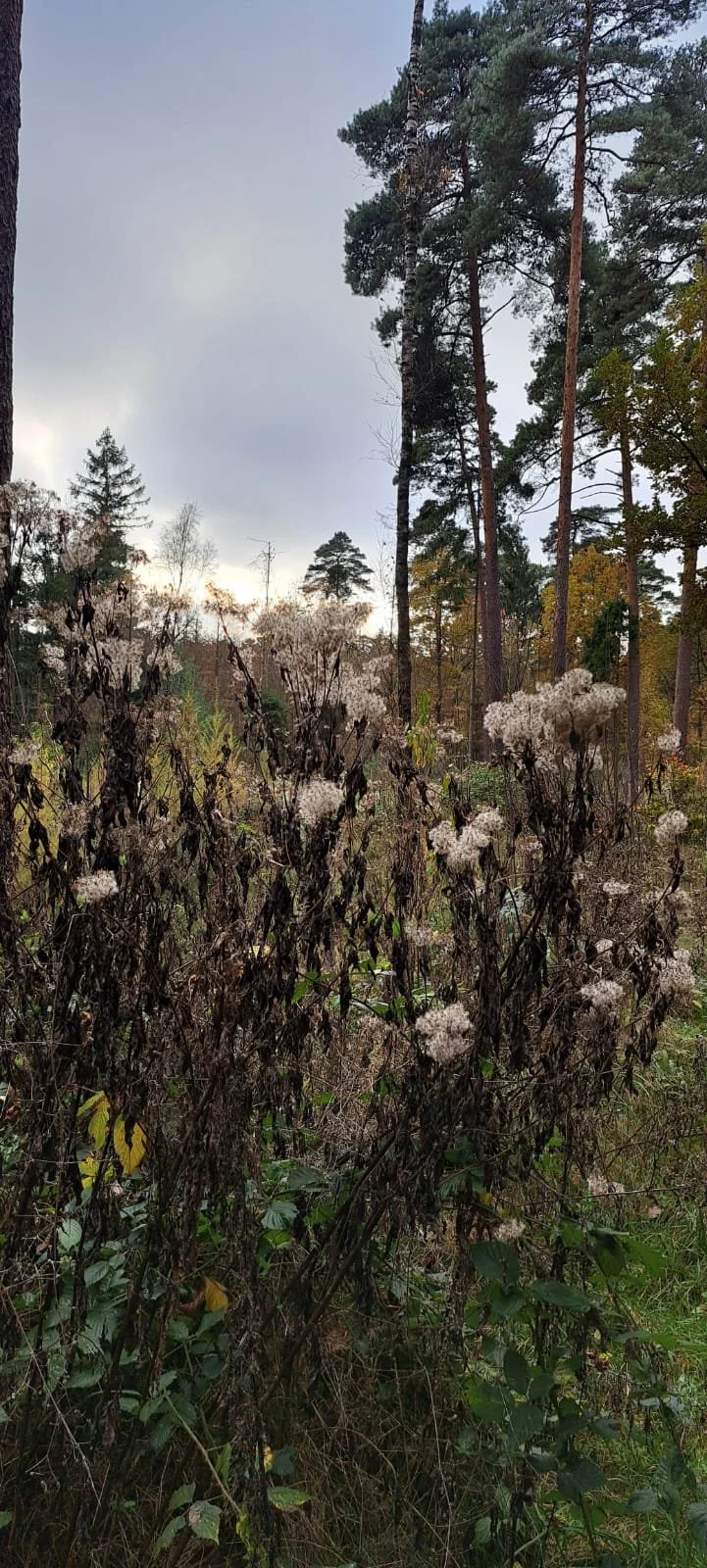 20241109_wanderung_fischteiche_5.jpeg