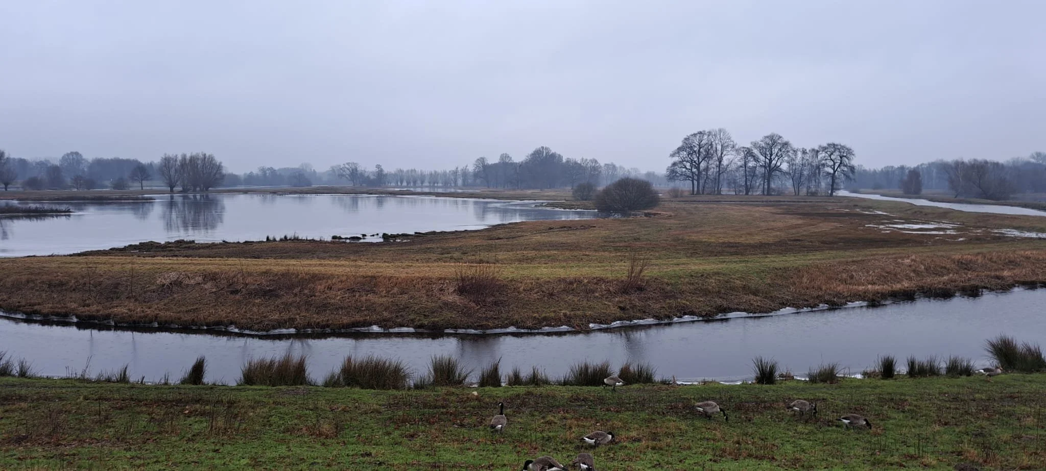 20240121_wanderung_steinhorster_becken19.jpeg