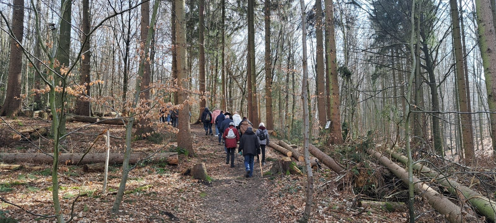 20240309_Wanderung_Leistruper_wald_4.jpeg