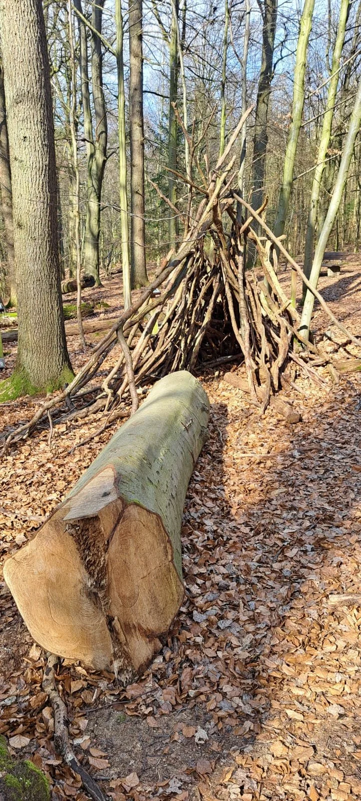 20240309_Wanderung_Leistruper_wald_2.jpeg