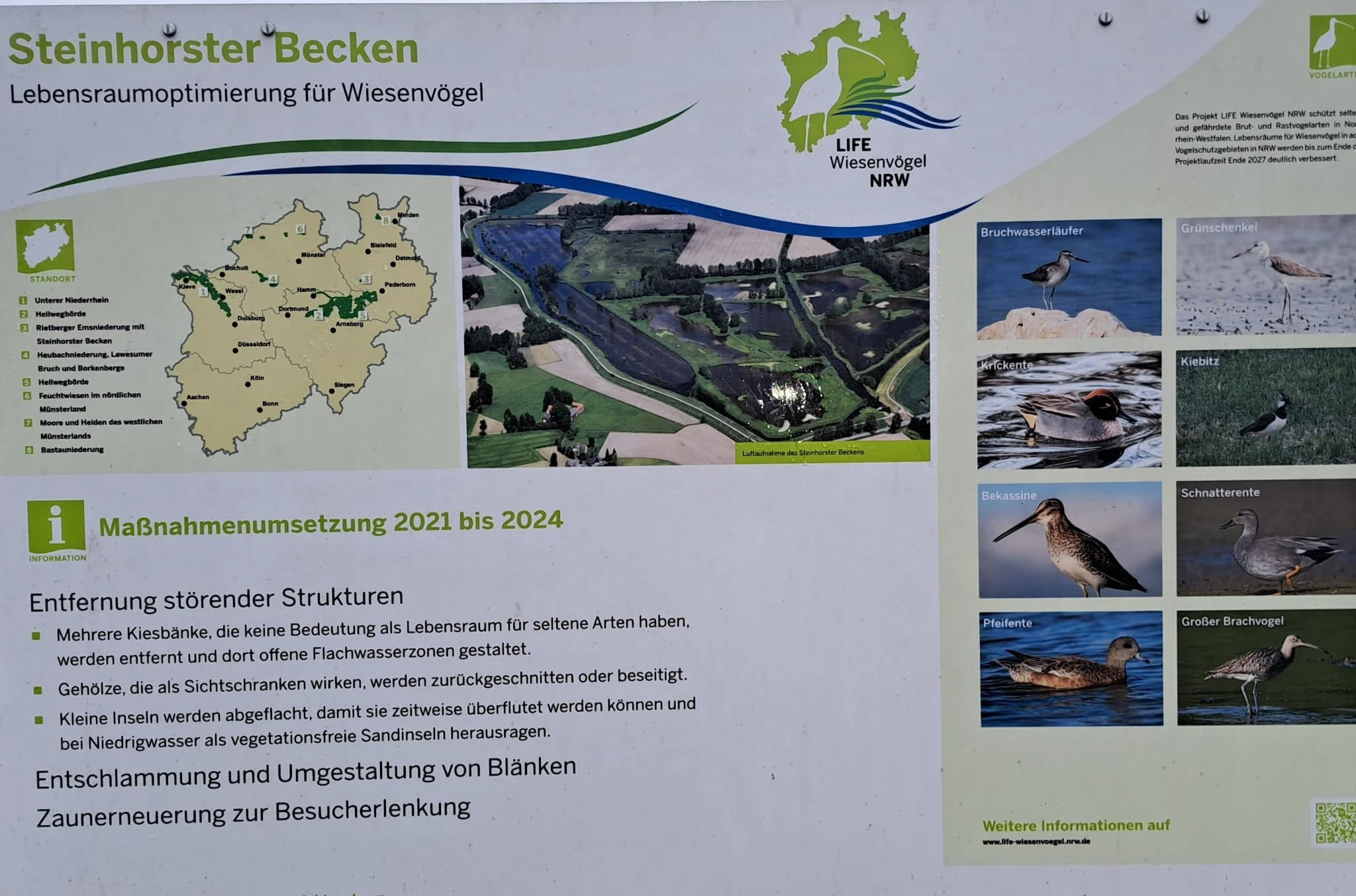 20240121_wanderung_steinhorster_becken18.jpeg
