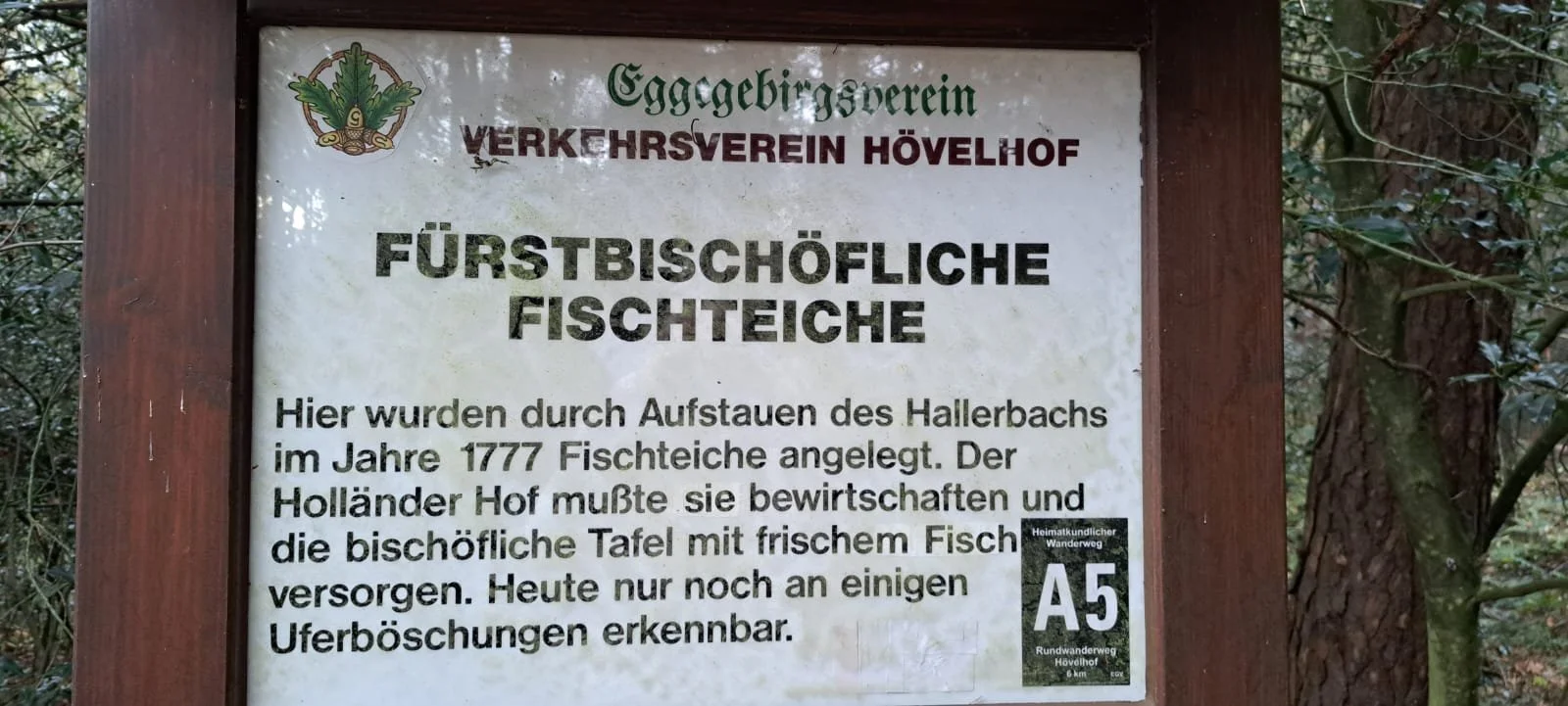 20241109_wanderung_fischteiche_6.jpeg